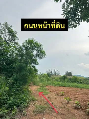 ขายที่ดินเปล่าทำเลดีมาก  เลี้ยวจากถนนหลัก 304 แค่ 200 เมตร ต.ปากช่อง อ.ปากช่อง จ.นครราชสีมา  พื้นที่ : 199.8 ตร.ว.