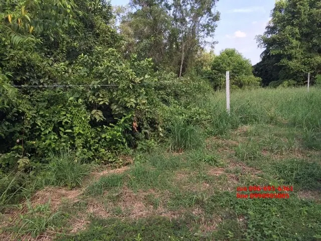 ขายที่ดิน ติดถนนกาญจนาภิเษก ตร.ว.ละ 12000 บาท 6-1-21.3 ไร่ Land for sale