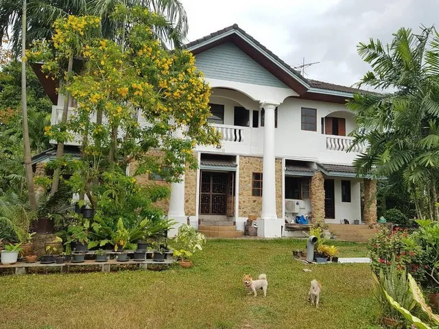หมู่บ้านปรางทองภูเก็ต บ้านเดี่ยวสภาพเดิม 240วา 6ห้องนอน 7ห้องน้ำ ใกล้โรงพยาบาลดีบุก