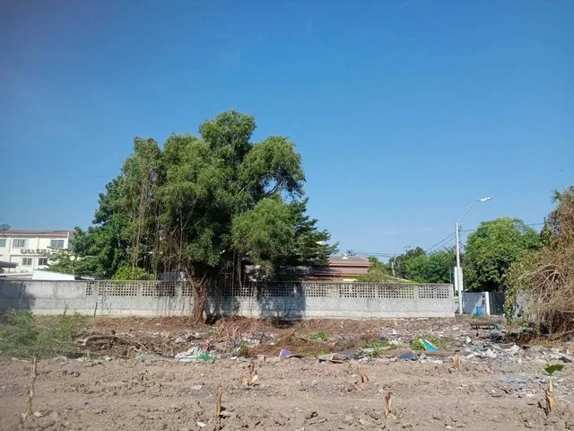 ขายที่ดินซอยแจ้งวัฒนะ 6 ใกล้รถไฟฟ้าหลักสี่ ใกล้ศูนย์ราชการแจ้งวัฒนะ