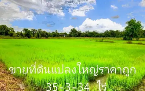 ขายที่ดิน 35 ไร่ 3 งาน 34 ตร.ว. ดอนเจดีย์ สุพรรณบุรี ติดถนน 2 ด้าน
