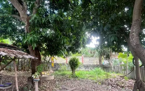 ขายที่ดิน 148 ตรว. ใกล้ถนนสุขุมวิทราคาถูก ทำเลทอง – พลูตาหลวง สัตหีบ