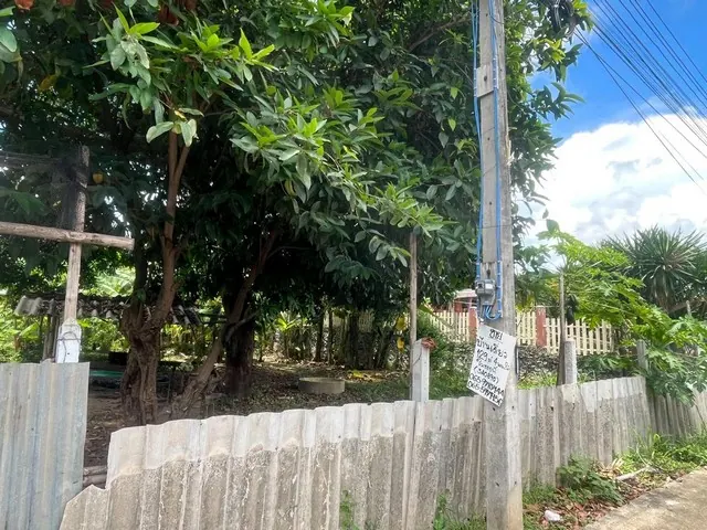 ขายที่ดิน 148 ตรว. ใกล้ถนนสุขุมวิทราคาถูก ทำเลทอง – พลูตาหลวง สัตหีบ