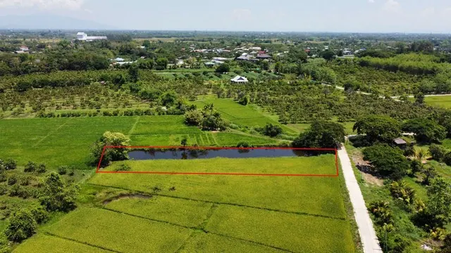 ขายที่ดินแปลงสวยมีสระน้ำ ติดวิวทุ่งนา พิกัดลำพูนบรรยากาศดีขายราคาถูกในเขตชุมชน