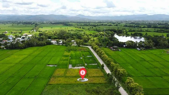 ขายที่นาติดถนนคอนกรีตวิวสวยใกล้เทศบาลแม่ปูคา สันกำแพง เชียงใหม่