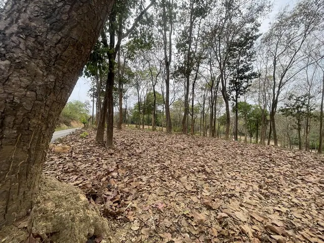 ที่ดินเนินเขาแปลงสวยทำเลงาม ใกล้สนามบิน ติดถนนลาดยาง ติดลำคลอง อ่างเก็บน้ำ