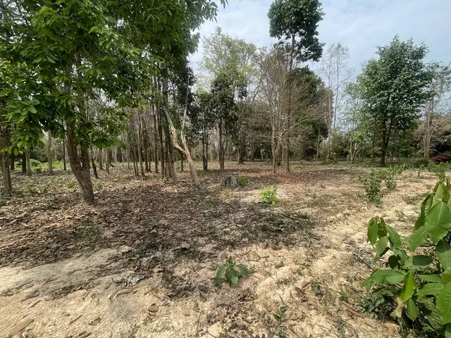 ขายที่ดิน 4 ไร่ 48 ตร.ว. ใกล้สนามบินน่าน ราคา 14.42 ล้านบาท