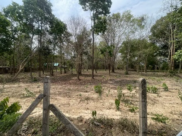 ขายที่ดิน 4 ไร่ 48 ตร.ว. ใกล้สนามบินน่าน ราคา 14.42 ล้านบาท