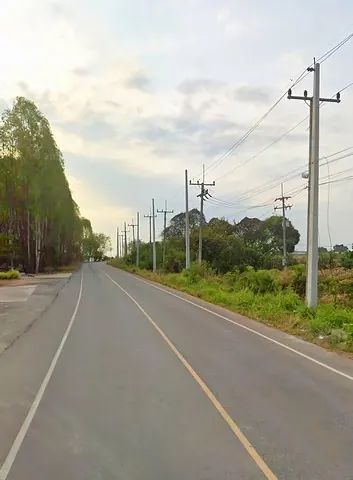 ขายที่ดินลานมันหนองเหียงพนัสนิคม 31 ไร่ ผังสีเหลือง ที่ดินไม่ต้องปรับถม เป็นลานมันเก่า