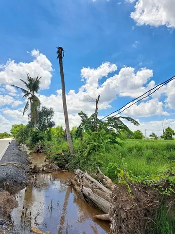 ขายที่ดิน 1 ไร่ รังสิต คลอง10 หนองเสือ  โทร 084 992 4497