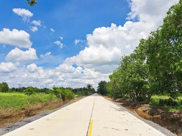 รังสิต คลอง10 หนองเสือ ที่ดินร่องสวน 4 ไร่ ถนนรังสิต-นครนายก