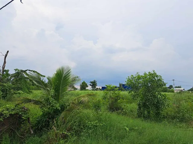 ขายที่ดินคลอง10 หนองเสือ ถนนรังสิต-นครนายก 0849924497