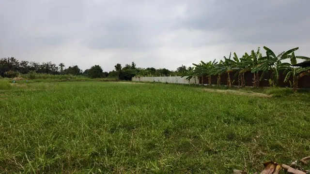 ที่ดิน -  area 0 RAI 0 ngan 100 ตร.ว. 390000 thb ไม่ไกลจาก องค์พระปฐมเจดีย์ สวนป่าน เซเว่น ซีเจ โอกาสเดียวห้ามพลาด นครปฐม