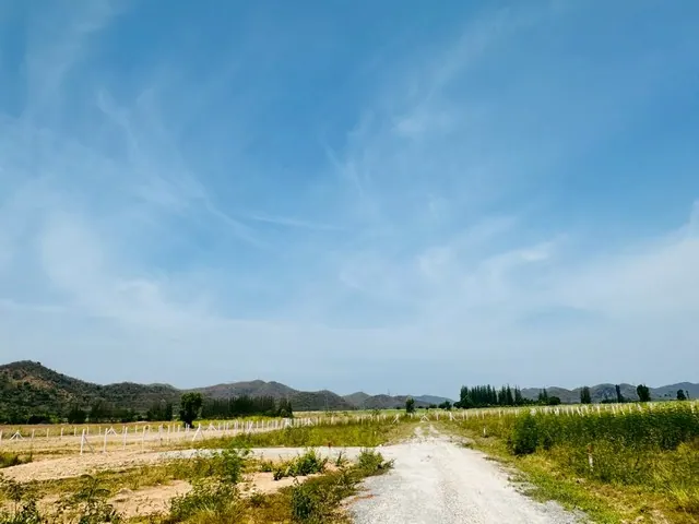 ขายที่ดินแปลง 1 ไร่ เขากระปุก ท่ายาง เพชรบุรี