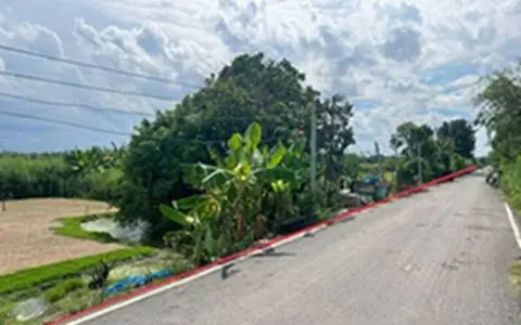 ขายที่ดิน 100 ตร.ว. คลอง 12 หนองสามวัง หนองเสือ