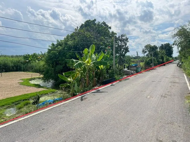 ขายที่ดิน 100 ตร.ว. คลอง 12 หนองสามวัง หนองเสือ