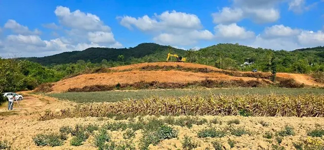 ขายที่ดินเริ่มต้น 200 ตร.ว. ขนงพระ ปากช่อง