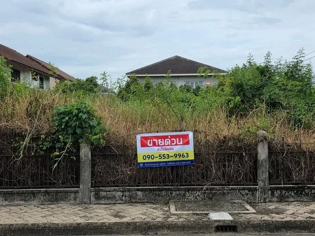 ขายที่ดิน ซอยคุ้มเกล้า ลาดกระบัง 205ตรว. หมู่บ้าน ศุภาลัย เลค2 แปลงมุม เข้าไม่ลึก