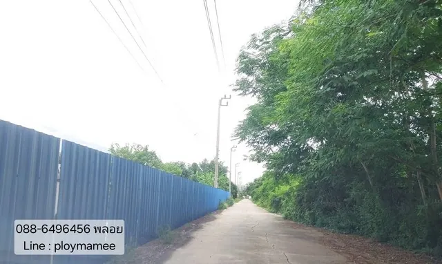 ขายที่ดินเปล่าด่วน ราคาถูกมาก 1 ไร่ ซอยลำโพ 11 บางบัวทอง อยู่ตรงข้ามอู่ลุงหนวด แบ่งแปลงแล้ว ทำเลดี ใกล้โรงเรียนสารสาสน์