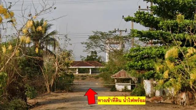ขายที่ดิน 1 ไร่ 24 ตร.ว. ต.ต้นมะพร้าว อ.เมืองเพชรบุรี - ทำเลดี ใกล้ถนนเพชรเกษม และอุทยานแห่งชาติแก่งกระจาน
