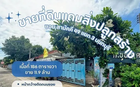 ขายที่ดินเมืองนนทบุรี ที่ดินซอยสามัคคี49แยก3 นนทบุรี ใกล้แหล่งความเจริญมากมาย