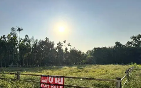 ขาย ที่ดินเปล่าสี่เหลี่ยมผืนผ้า แปลงมุม โฉนดครุฑแดง ต.บางบุตร บ้านค่าย-ระยอง