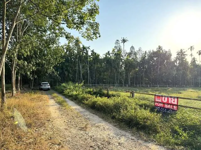 ขาย ที่ดินเปล่าสี่เหลี่ยมผืนผ้า แปลงมุม โฉนดครุฑแดง ต.บางบุตร บ้านค่าย-ระยอง