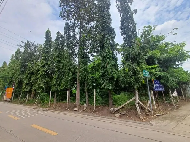 ขาย ที่ดินถมแล้ว 160 ตร.ว. ถ.พระราม ซ.19 แปลงมุม ติดถนน 2 ด้าน