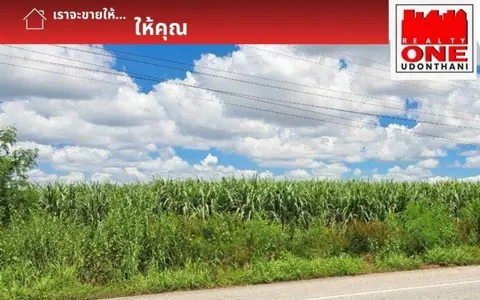 ที่ดินเปล่า ทำเลดี  ติดทางหลวงแผ่นดิน ต.ตาดทอง อ.ศรีธาตุ จ.อุดรธานี