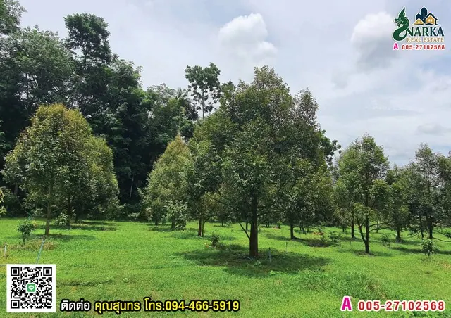 ขายที่ดิน 8 ไร่ ดอนเค็จ กาญจนดิษฐ์ สุราษฎร์ธานี ที่ดินแปลงนี้ผ่านการสำรวจธรณีวิทยา พบทรัพยากรน้ำแร่ใต้ดินจากแหล่งเขาแก้ว