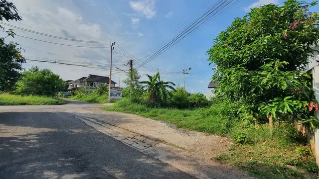 ขายที่ดินเปล่าใจกลางเมือง สุราษฎร์ธานี ทำเลทองในเมือง เข้าทางถนนอำเภอ 2 สามารถเชื่อมต่อถนนการุณราษฎร์ได้