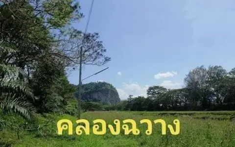 ขายที่ดินเปล่าใกล้ริมคลองฉวาง อำเภอบ้านนาสาร สุราษฎร์ธานี
