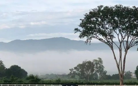 ขายที่ดินโครงการ BelleVue KhaoYai เริ่ม 143 ตร.ว. โป่งตาลอง เขาใหญ่