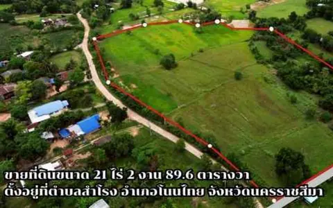 ขายที่ดินเปล่า อ.โนนไทย จ.นครราชสีมา 21 ไร่ 2 งาน 89.6 ตร.ว. ติดถนน น้ำไฟเข้าถึง ใกล้มอเตอร์เวย์ ราคาไร่ละ 350,000 บาท