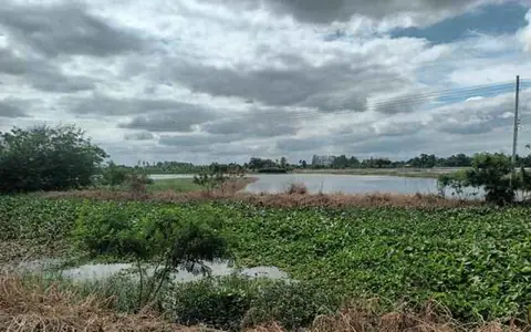 ขายที่ดินเปล่า ติดถนนหลวงหมายเลข 3496 ใกล้ตลาดร้อยปีสามชุก สุพรรณบุรี ขนาด 1 ไร่ 2 งาน 2 ตร.ว. ทำเลดี ราคาต่อรองได้  ราคา 750,000 บาท