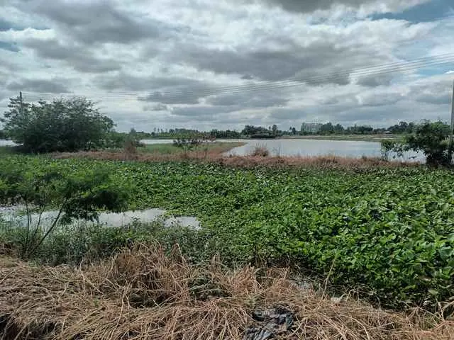 ขายที่ดินเปล่า ติดถนนหลวงหมายเลข 3496 ใกล้ตลาดร้อยปีสามชุก สุพรรณบุรี ขนาด 1 ไร่ 2 งาน 2 ตร.ว. ทำเลดี ราคาต่อรองได้  ราคา 750,000 บาท