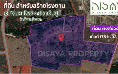 ที่ดิน ปราจีนบุรี นิคมโรจนะ ผังสีม่วง  อ.ศรีมหาโพธิ
