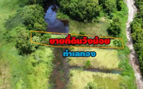 ขายที่ดิน ใกล้ตลาดวังน้อย 200ตร.ว. ต.ลำตาเสา อ.วังน้อย จ.พระนครศรีอยุธยา