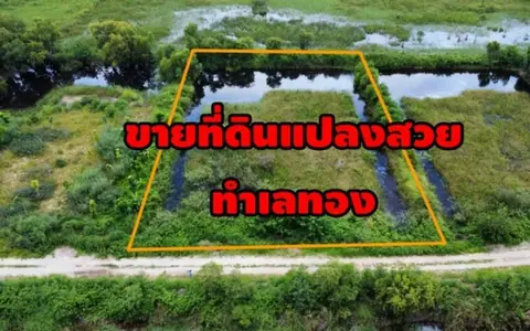 ขายที่ดิน ใกล้ตลาดสี่ขวา 2ไร่ ต.ลำตาเสา อ.วังน้อย จ.อยุธยา