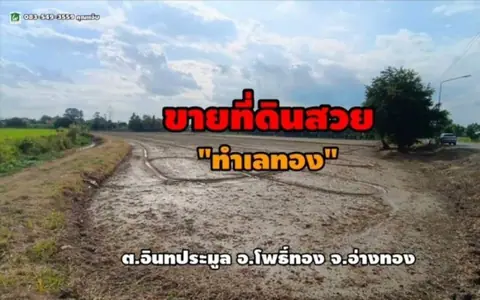 ขายที่ดิน 5 ไร่ ใกล้วัดขุนอิน ต.อินทประมูล อ.โพธิ์ทอง จ.อ่างทอง