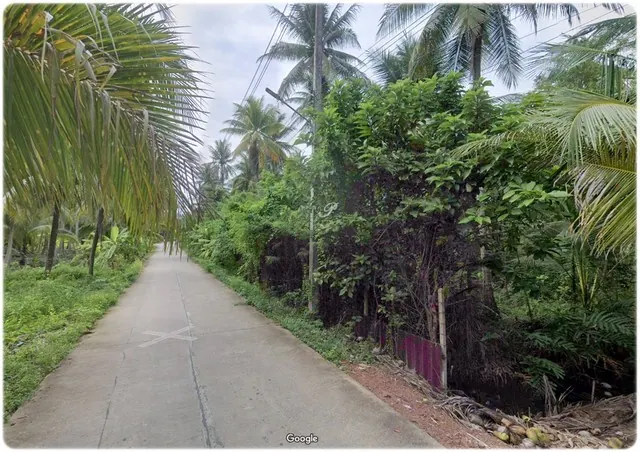 บ้านสวนทรงไทยริมน้ำ นั่งชมหิ่งห้อยได้จากระเบียงบ้านและท่าน้ำ เหมาะกับการผักผ่อน